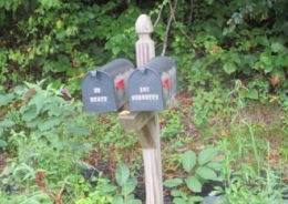 Foreclosure in Marshall, NC