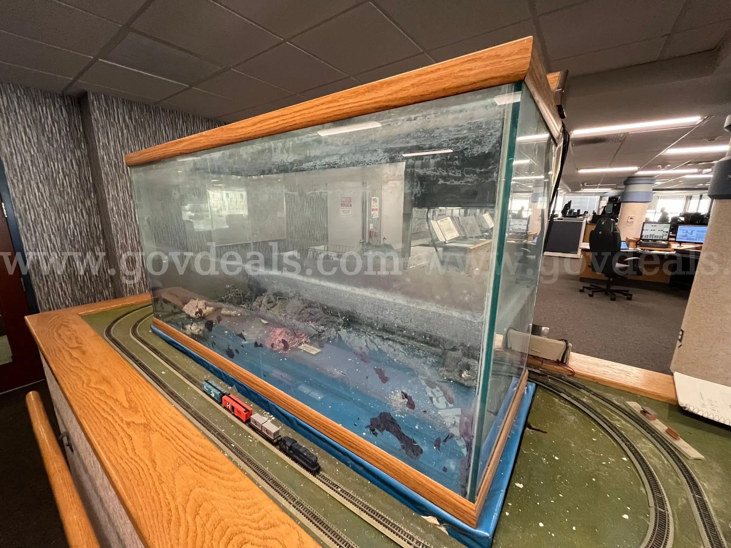 Aquarium 75 Gallon