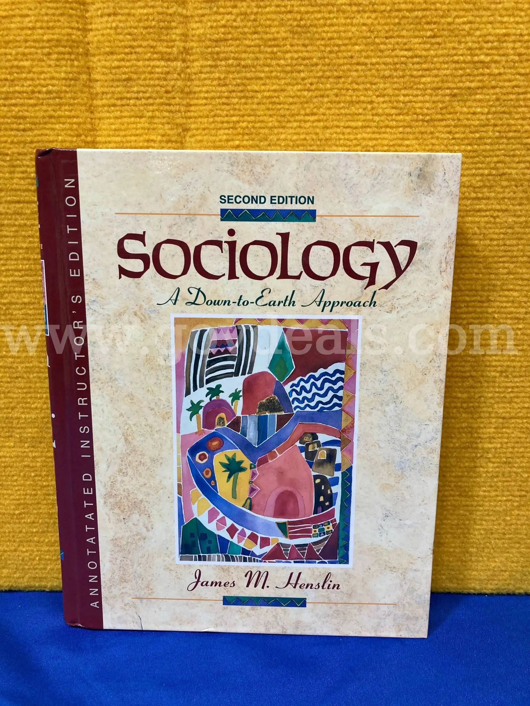 Sociology A down To Earth Approach Second Edition Book
