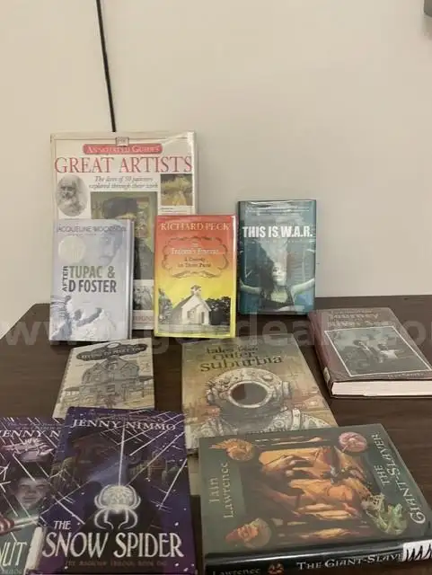 Library Surplus Lot of Books (178 items)