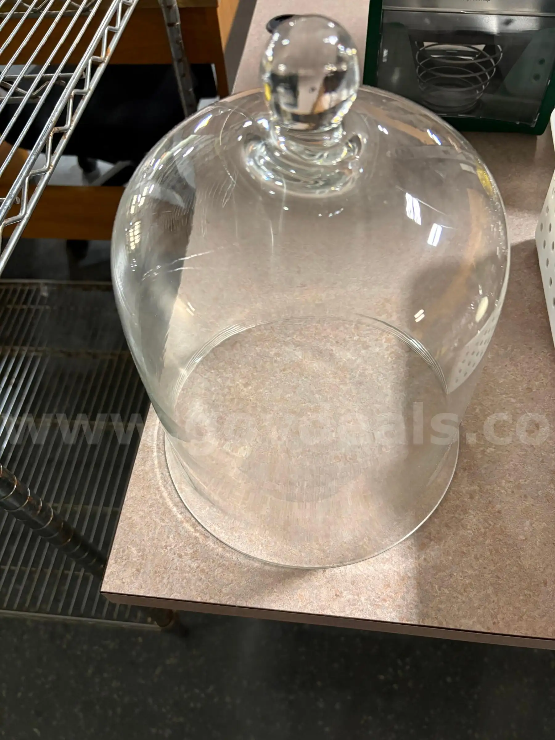 Glass Domes