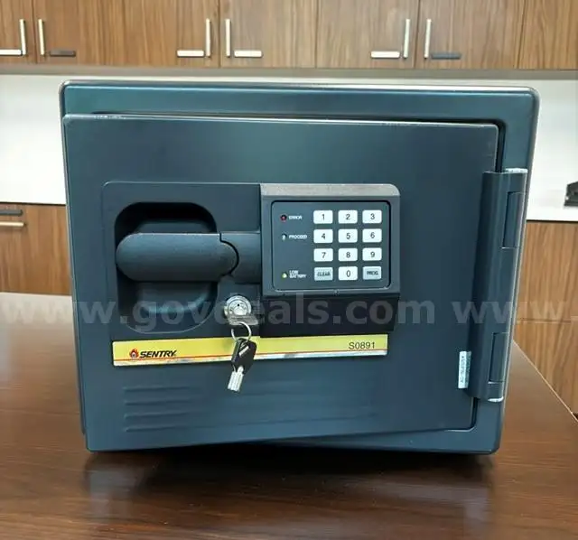Sentry Safe