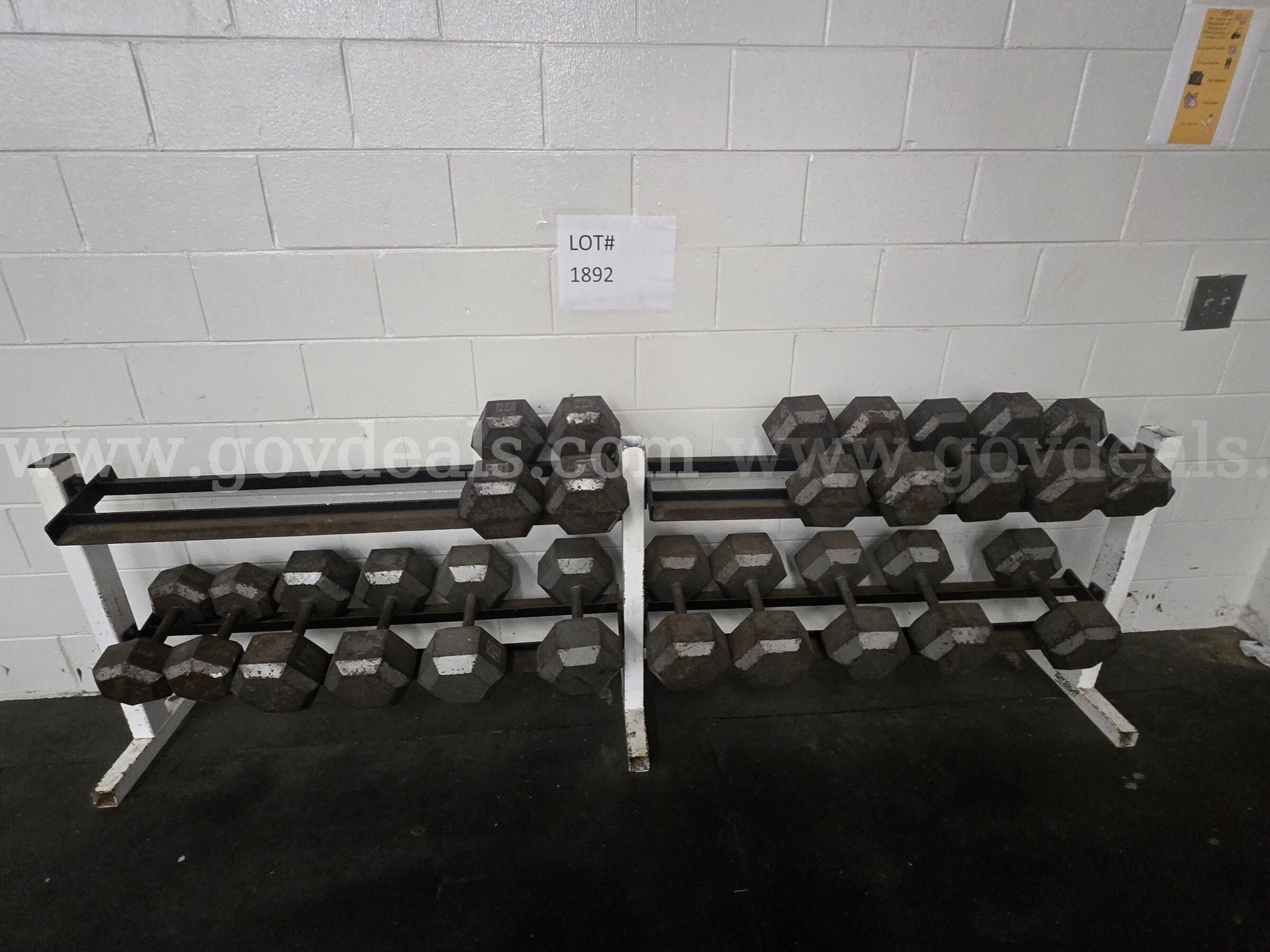 Dumbbell Set WITHOUT RACK 50-100lbs
