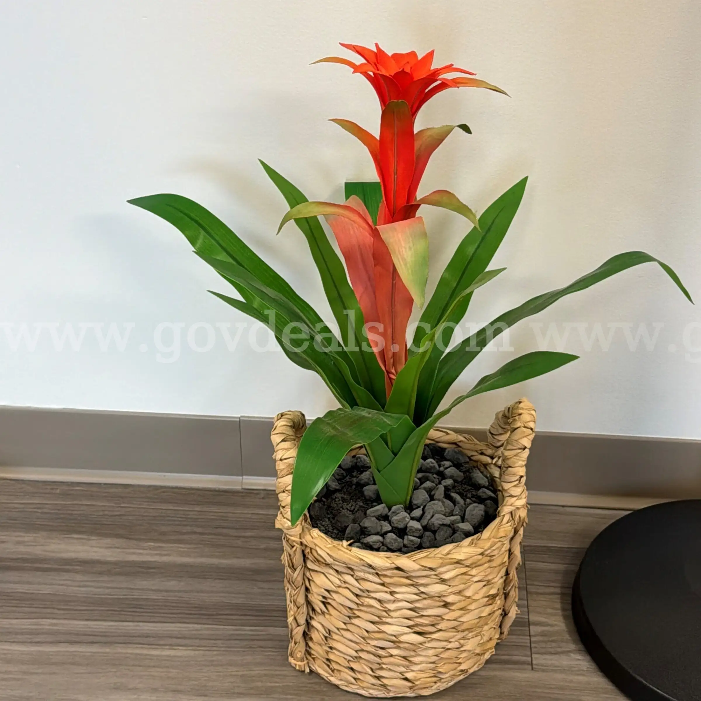 25 Tall Artificial Plant (LOCATED AT OUR CARMI IL CAMPUS
