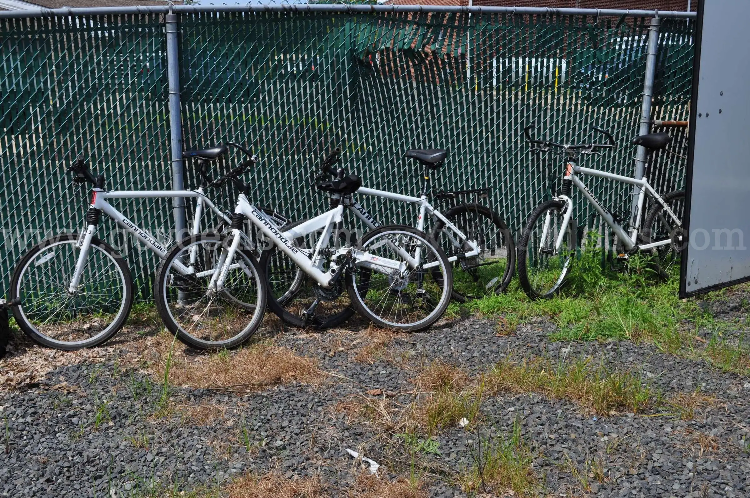 Cannondale