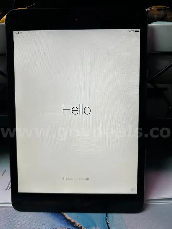 iPad Mini