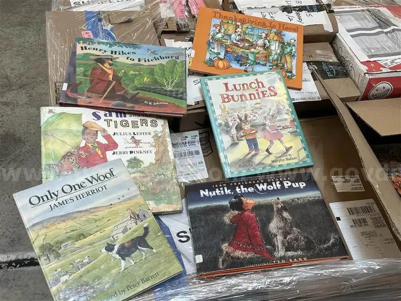 K-12 Library Assorted Books Lot A-994