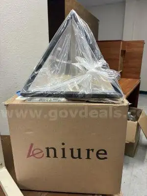 Leniure modern light
