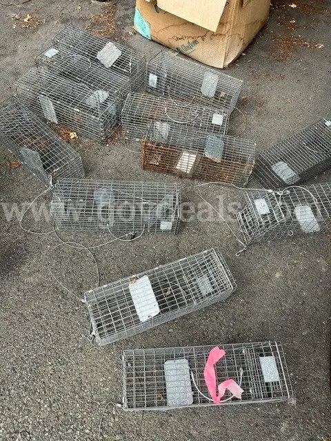 small live traps