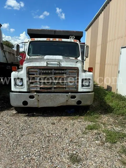 1981 International 1854