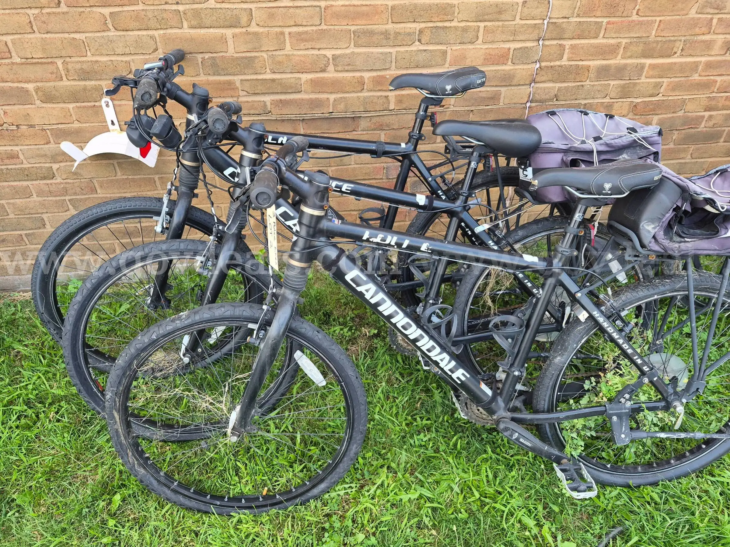 Cannondale
