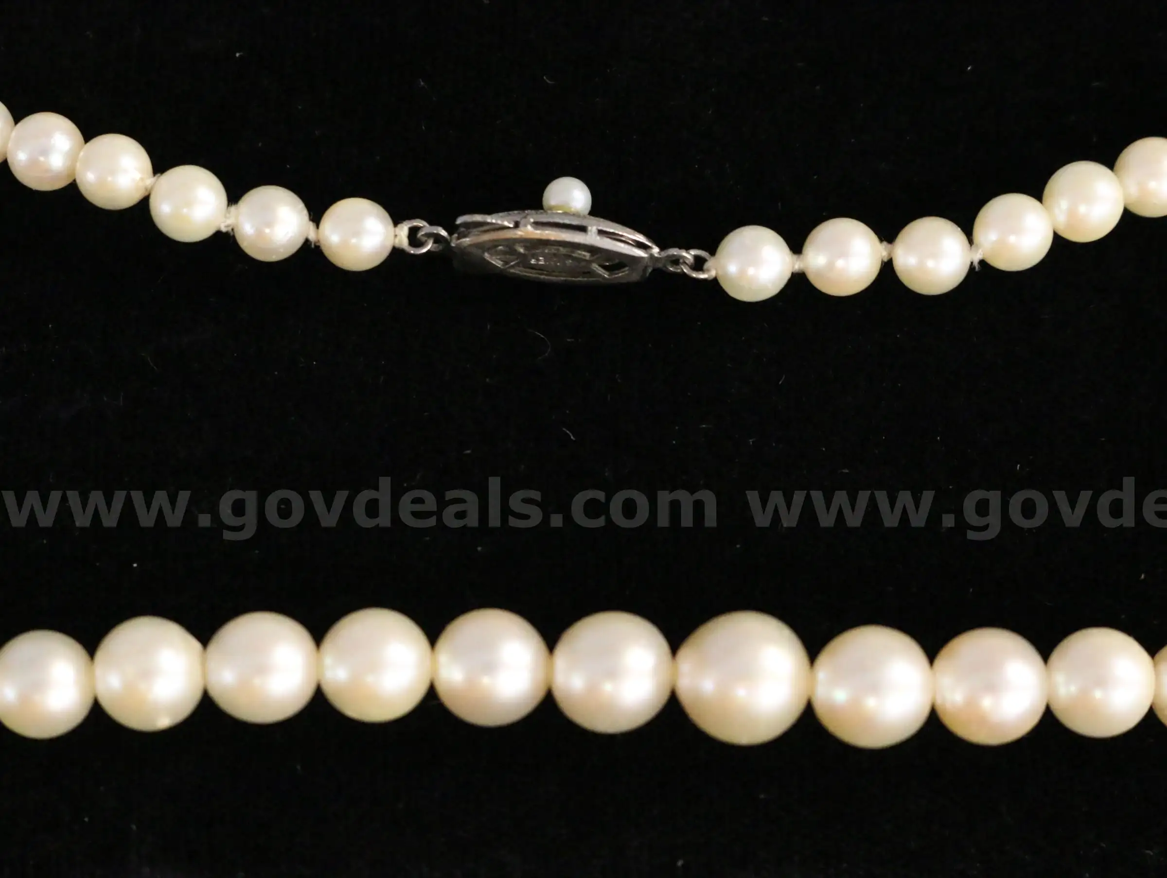 18 Graduated Strand of Freshwater Pearls With Sterling Clasp