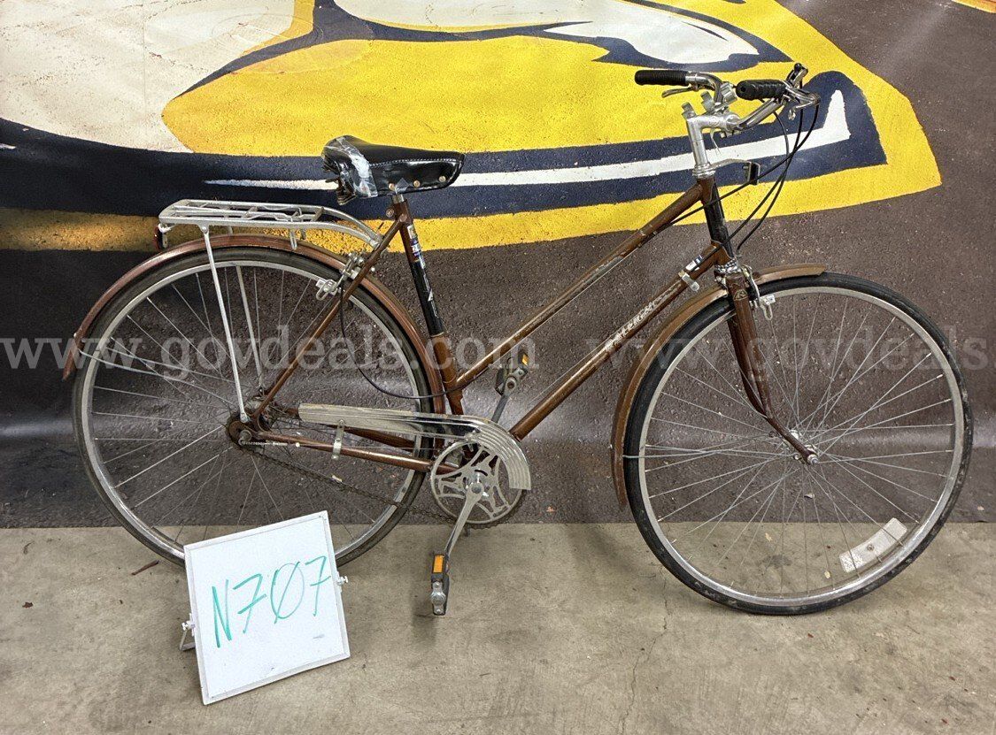 Raleigh Super Sport 22-Inch Ct