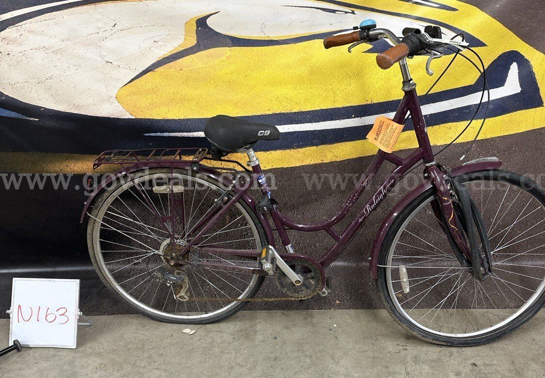 Raleigh Cruiser 20-Inch Ct
