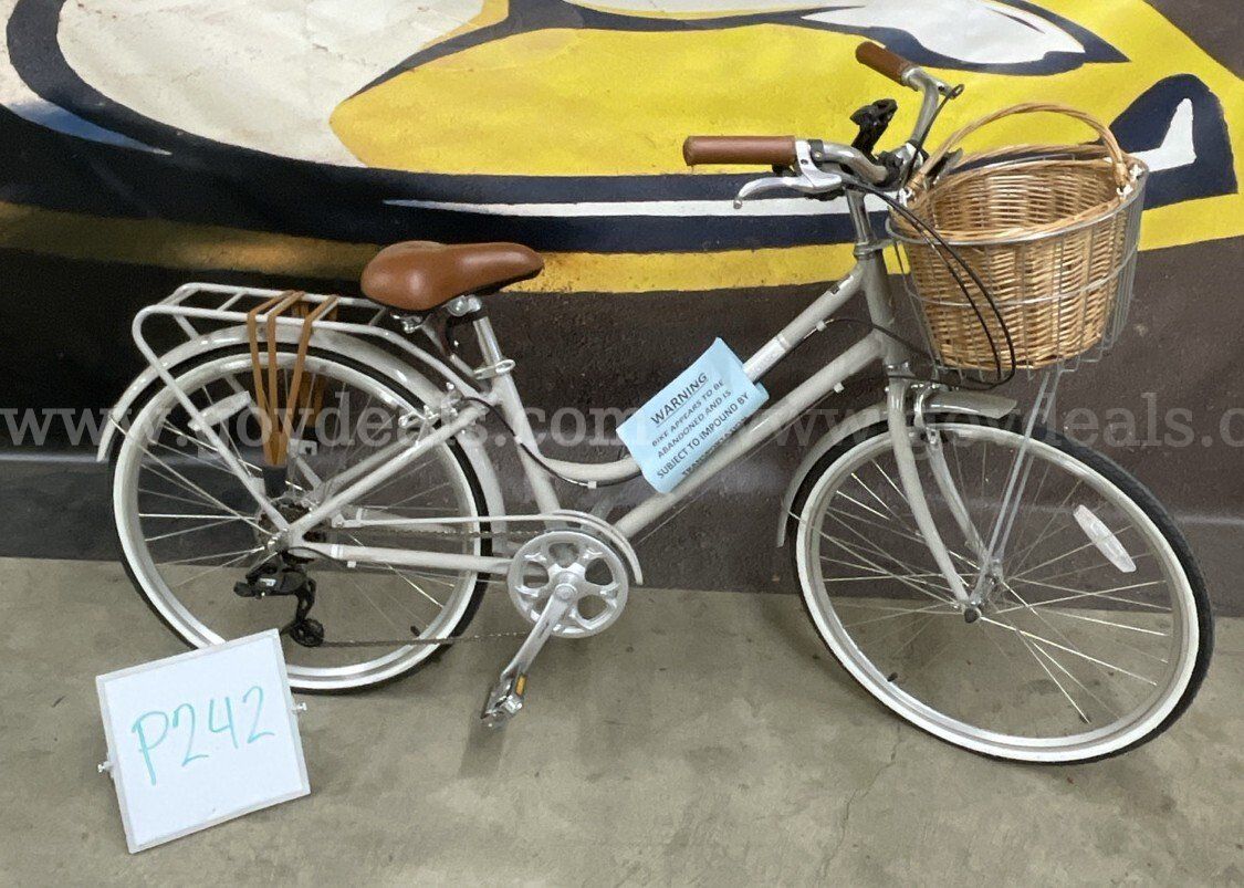 Classic Cruiser 15-Inch Ct