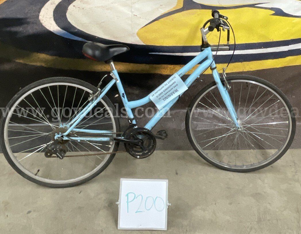 Roadmaster Cruiser 20-Inch Ct