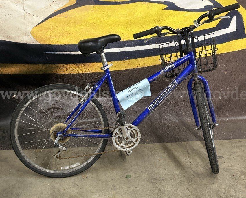 Diamondback Outlook 20-Inch Ct