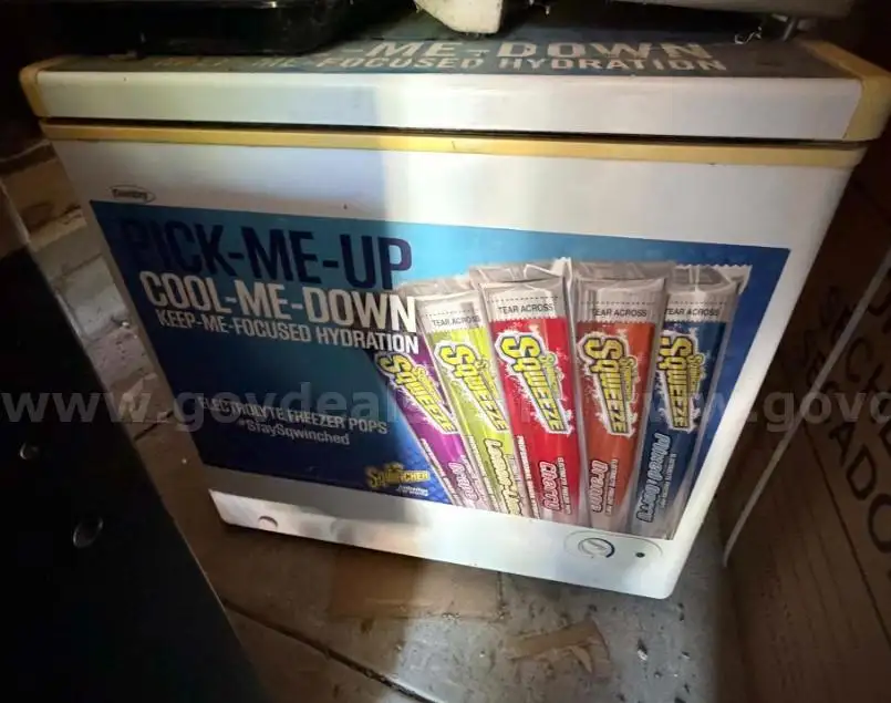 Sqwincher Sqweeze Freezer