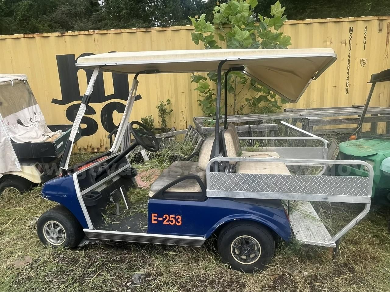 Electric Golf Cart