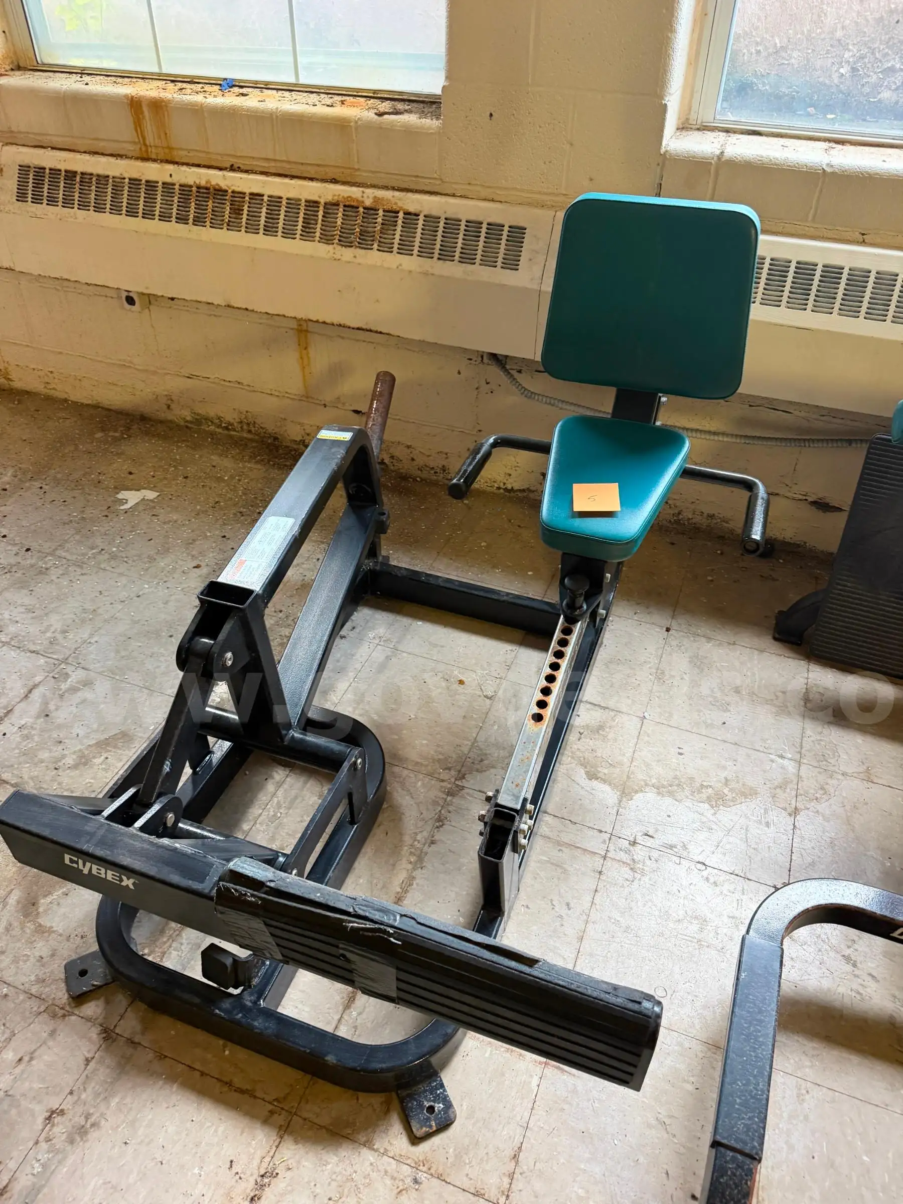 Fitness Equipment #5 Cybex Linear Calf Raise