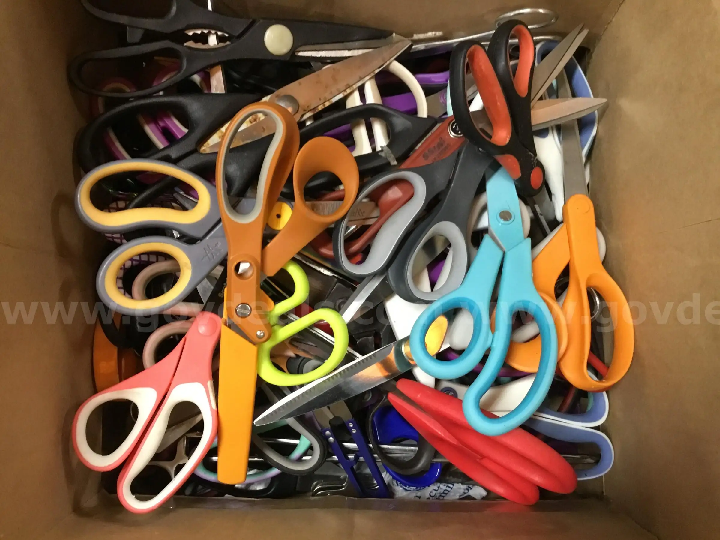 1 Lot of Scissors and Shears