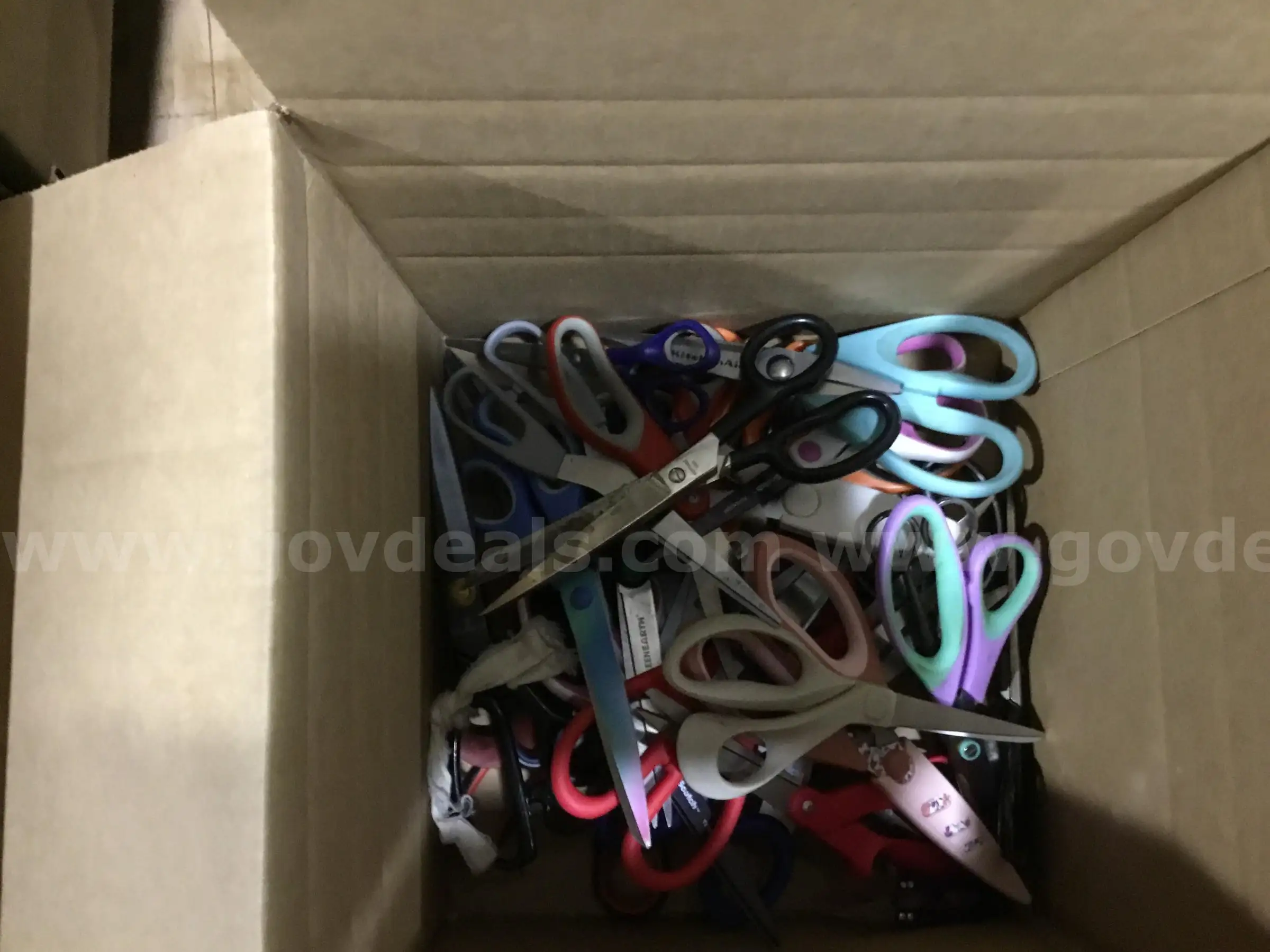 1 Lot of Assorted Scissors