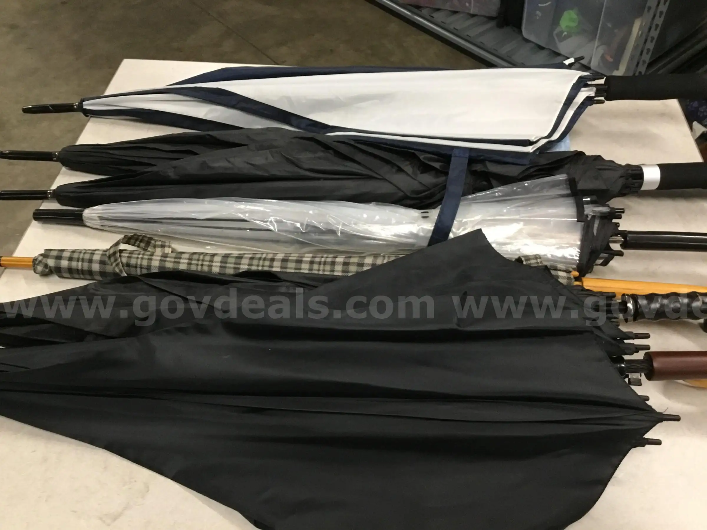 1 Lot of Assorted Umbrellas