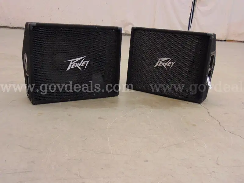 2 Peavey Speakers - C5