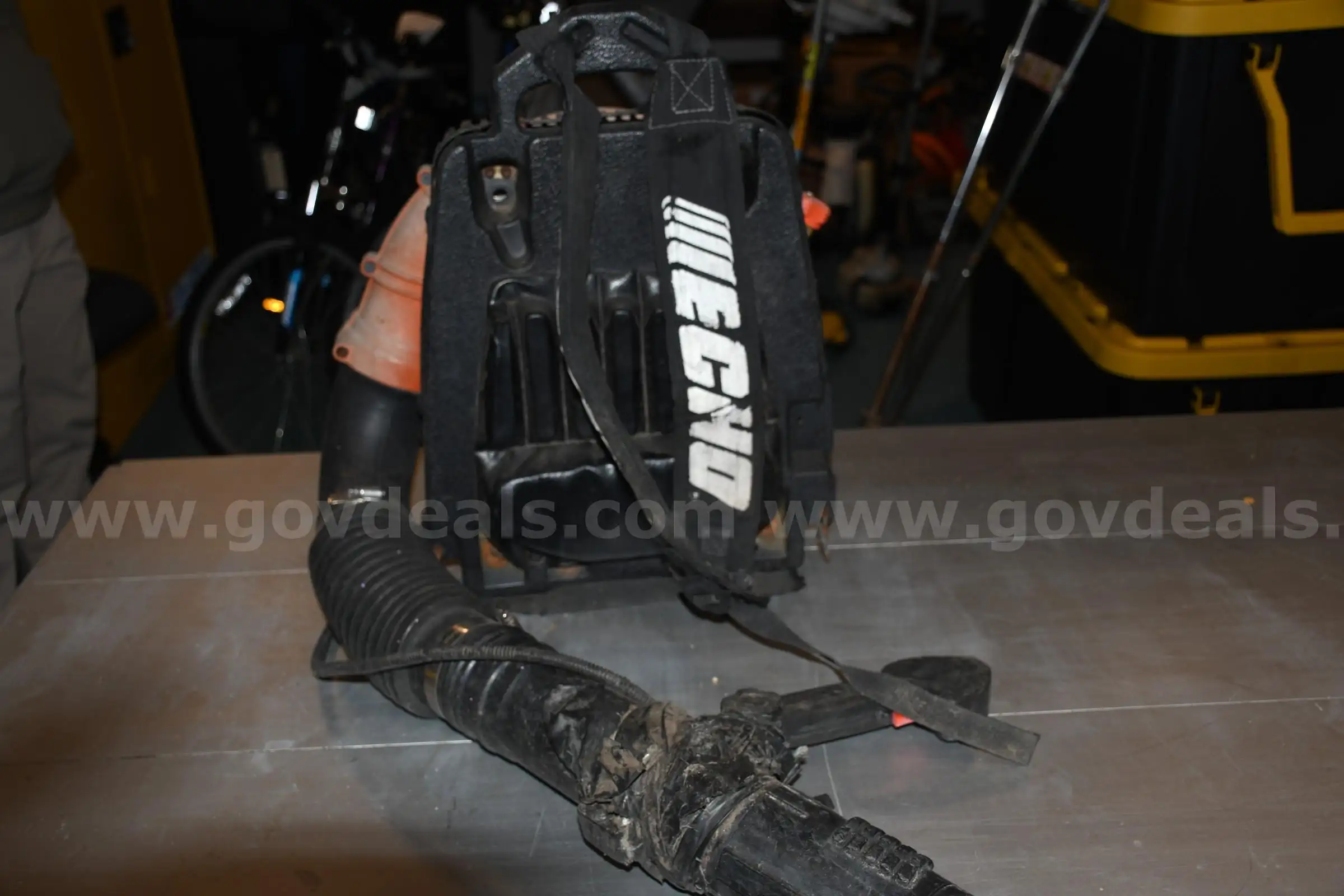 Echo Backpack Blower
