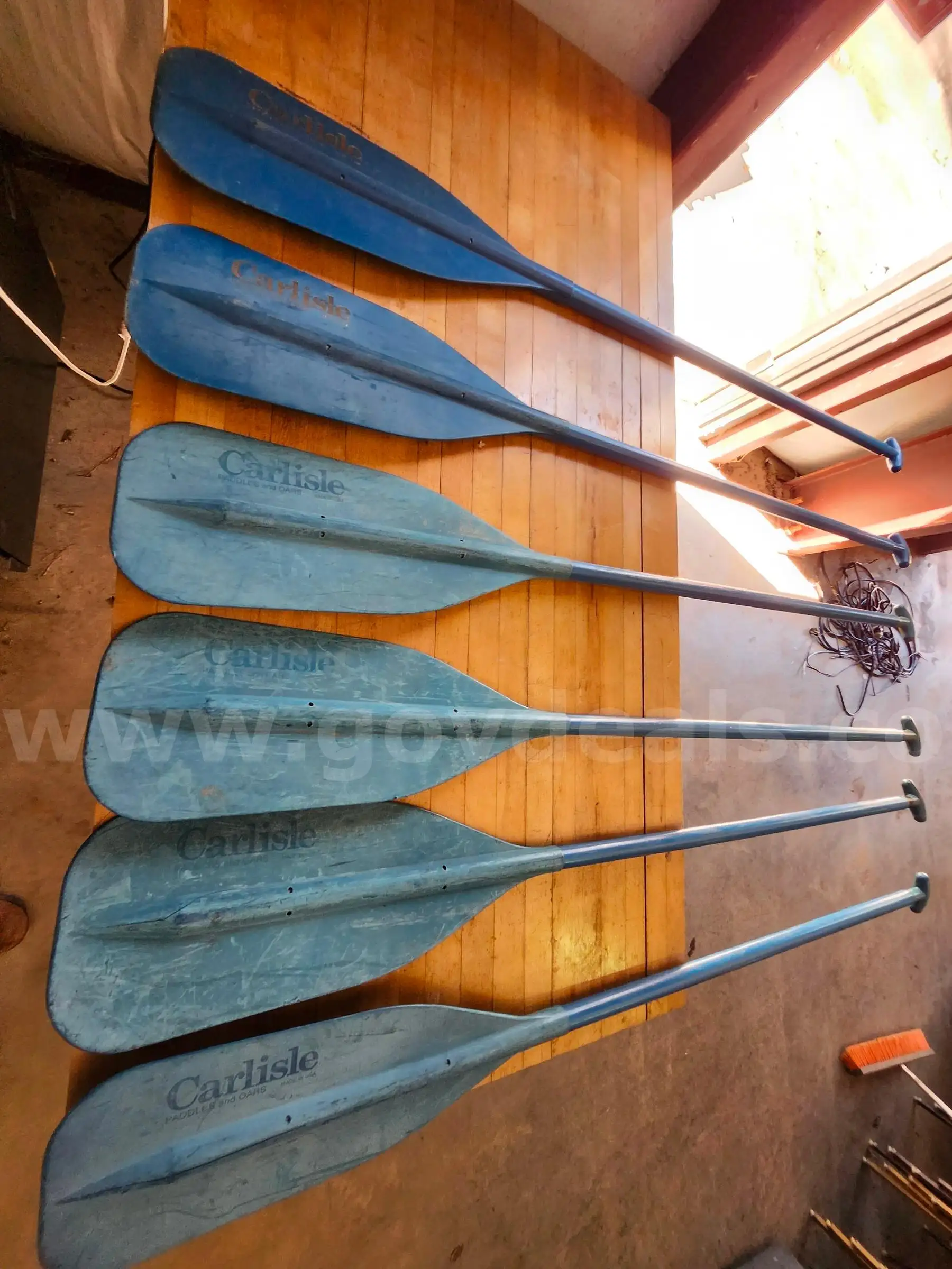 LOT OF (6) BLUE CARLISLE PADDLES 5 FOOT LONG
