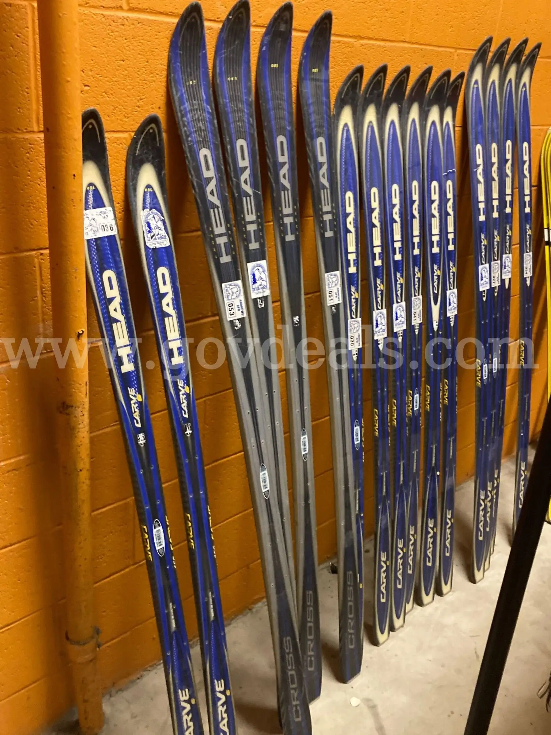 Lot of 16 used Pairs of Skis - no bindings