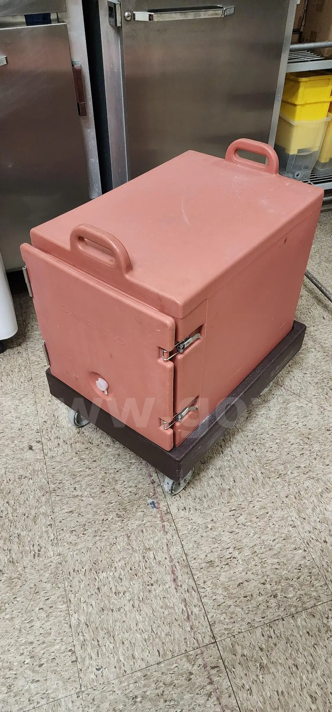 Rolling Steamer Cart