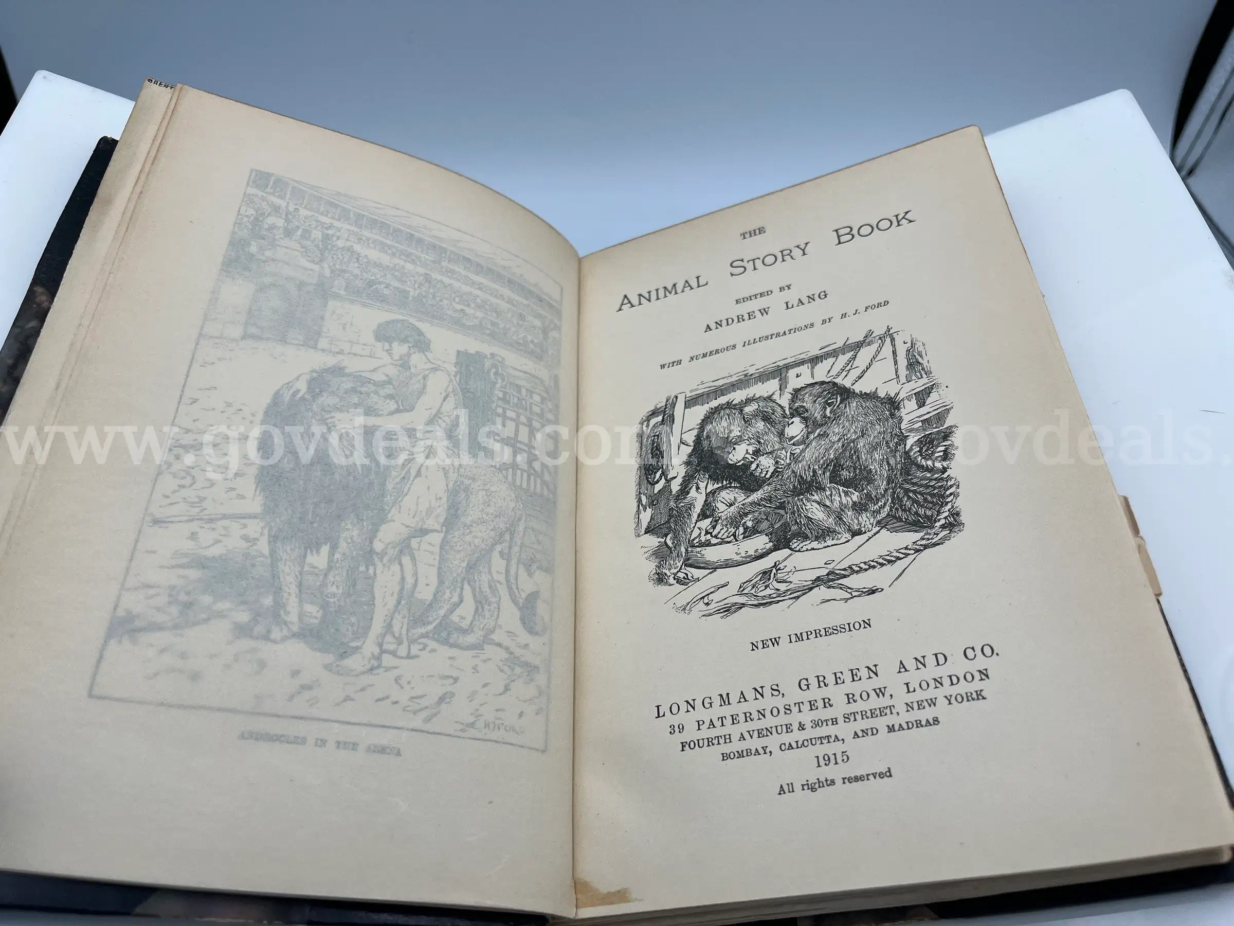 Rare Books Lang Andrew The Animal Story Book Pub. 1915
