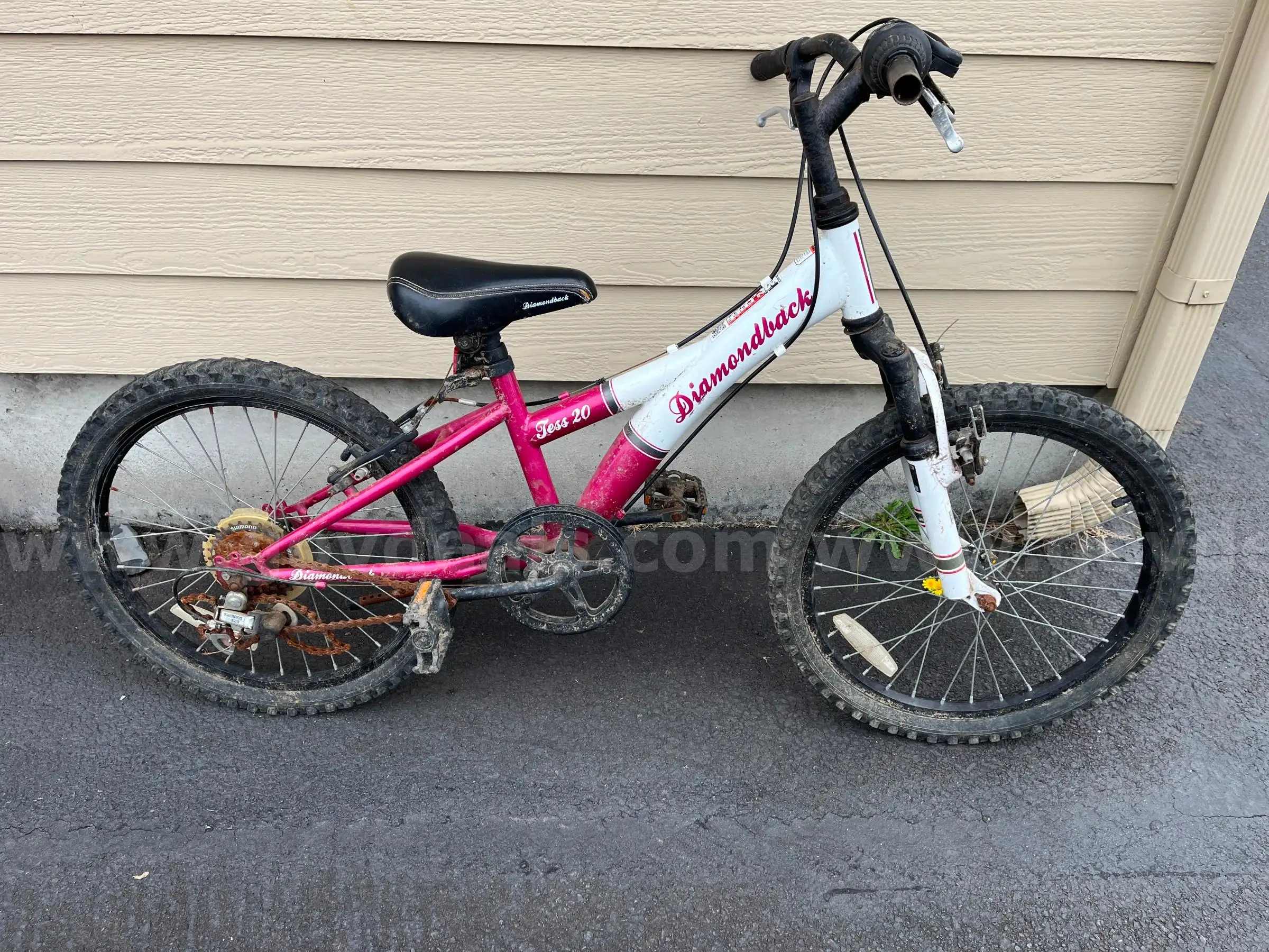Diamondback Tess 20
