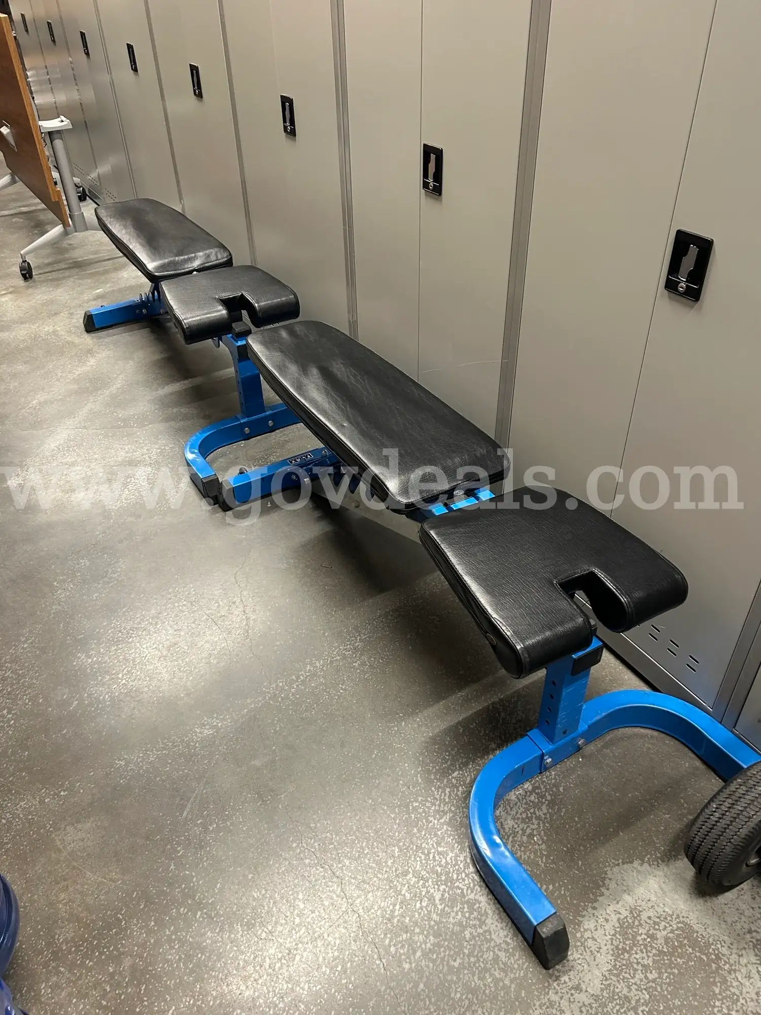 Gym Benches