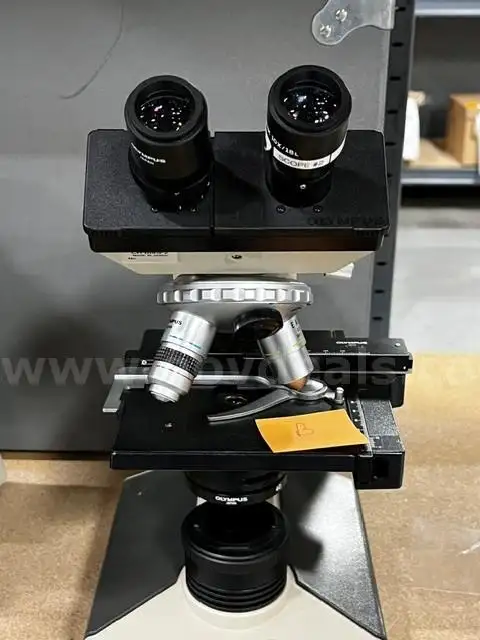 OLYMPUS CH2 HALOGEN MICROSCOPE