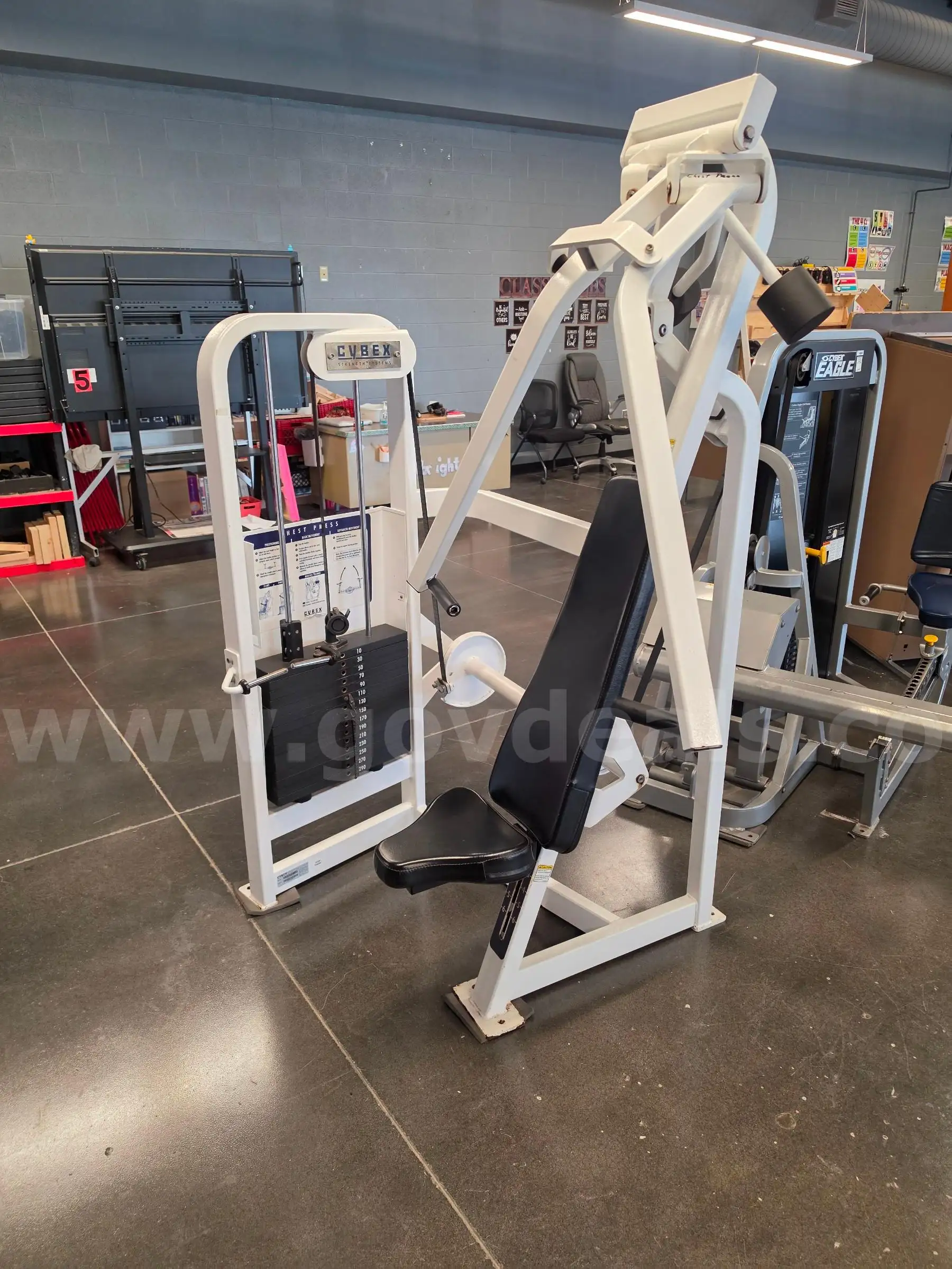 Chest Press