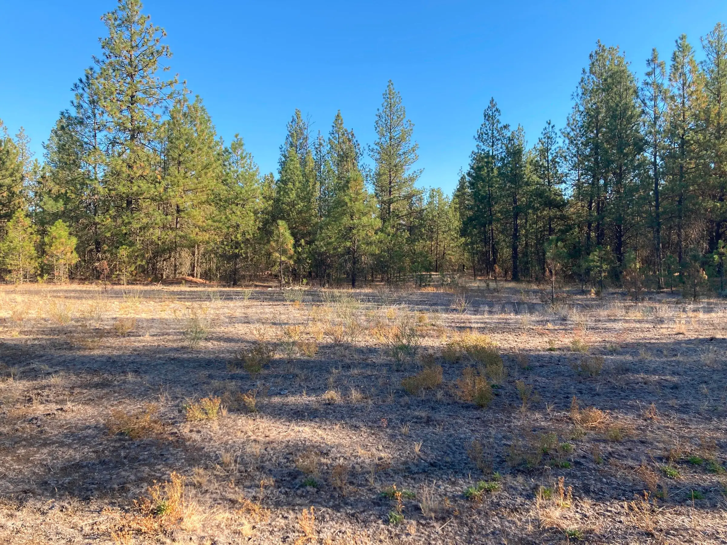 Two Parcels Approx. 11.34 acres - Drumheller Pit Spokane Washington