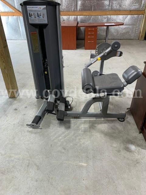 Paramount Low Back Abdominal Machine