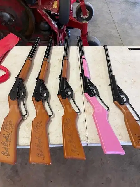 Lot of Air Rifles with Safe