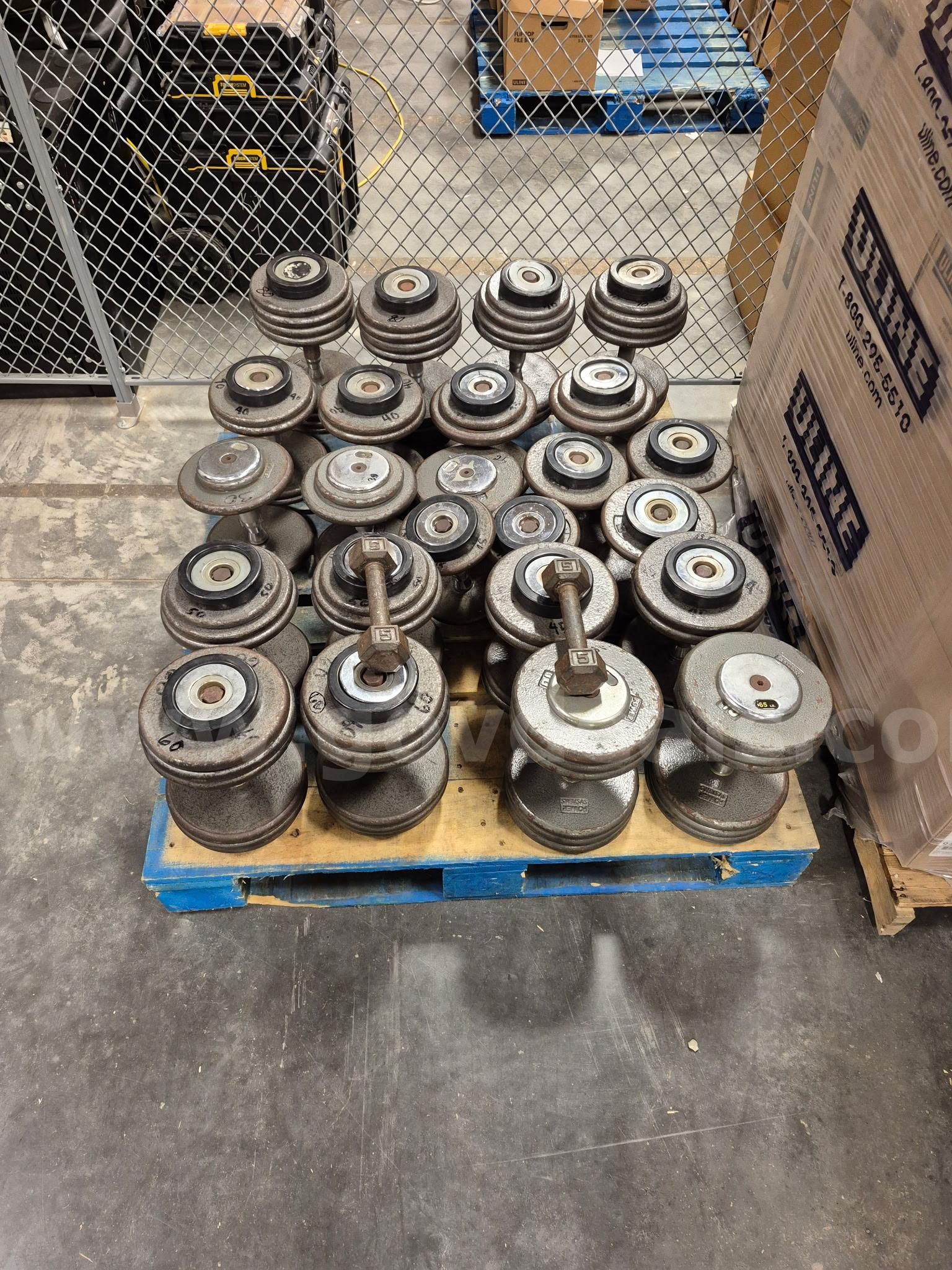 Dumbbells - 13 Sets