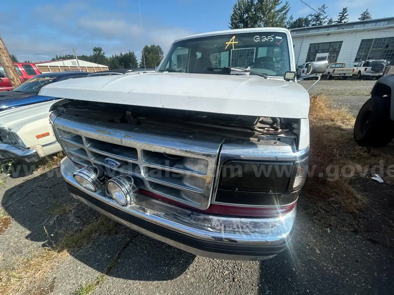 1995 Ford F-150