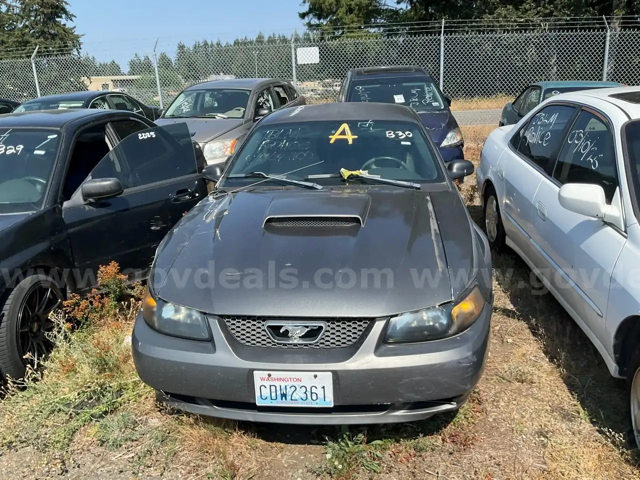 2004 Ford Mustang