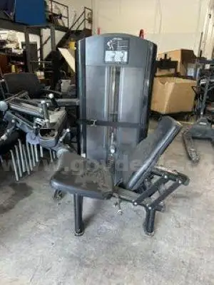 Leg Curl Machine (222256 NM)