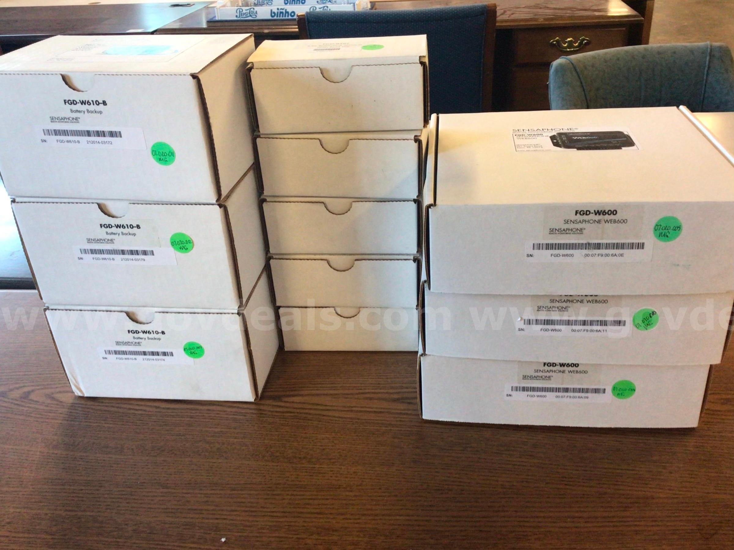 Sensaphone FGD-W600