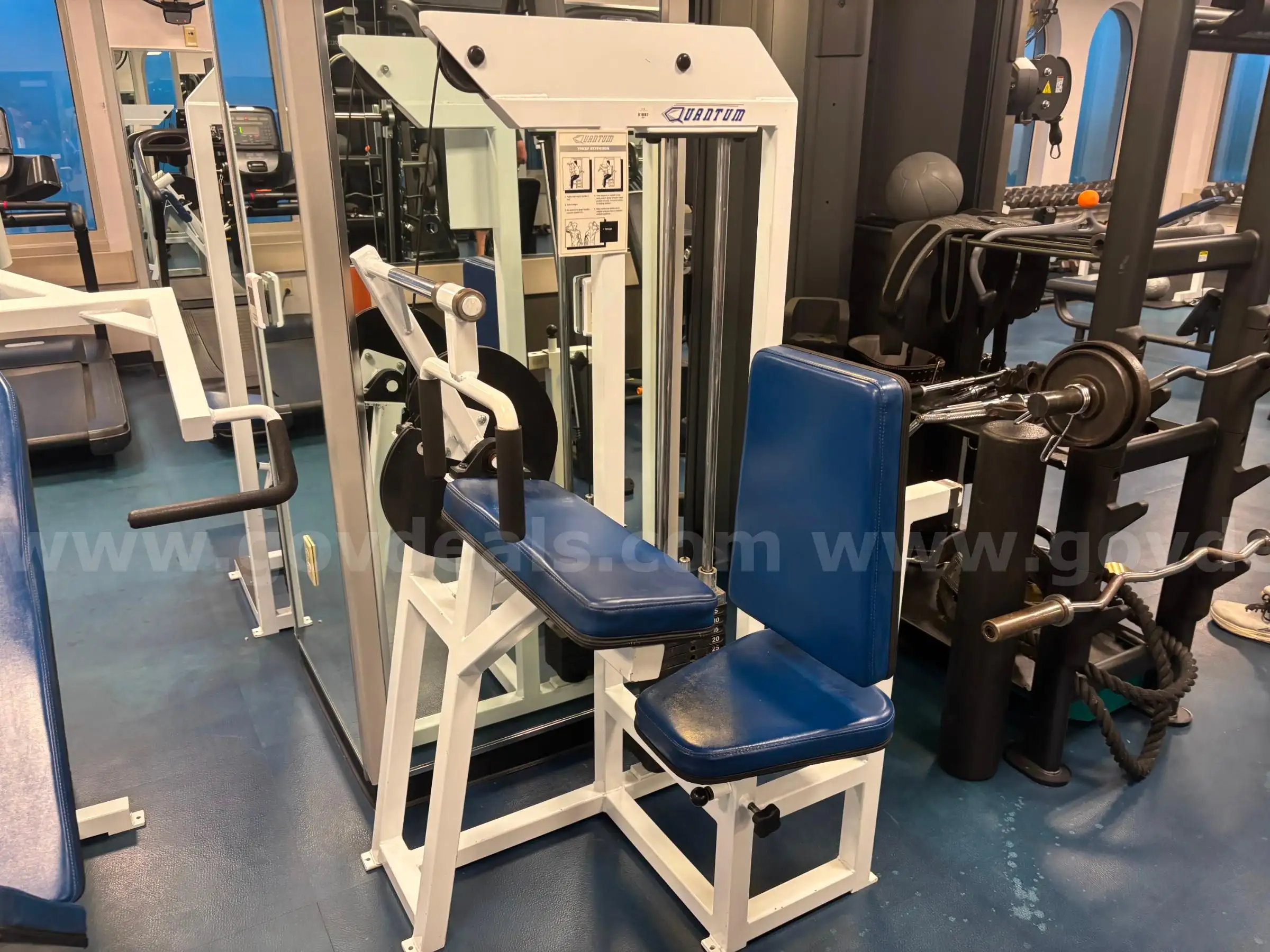 Quantum Fitness Tricep Extension