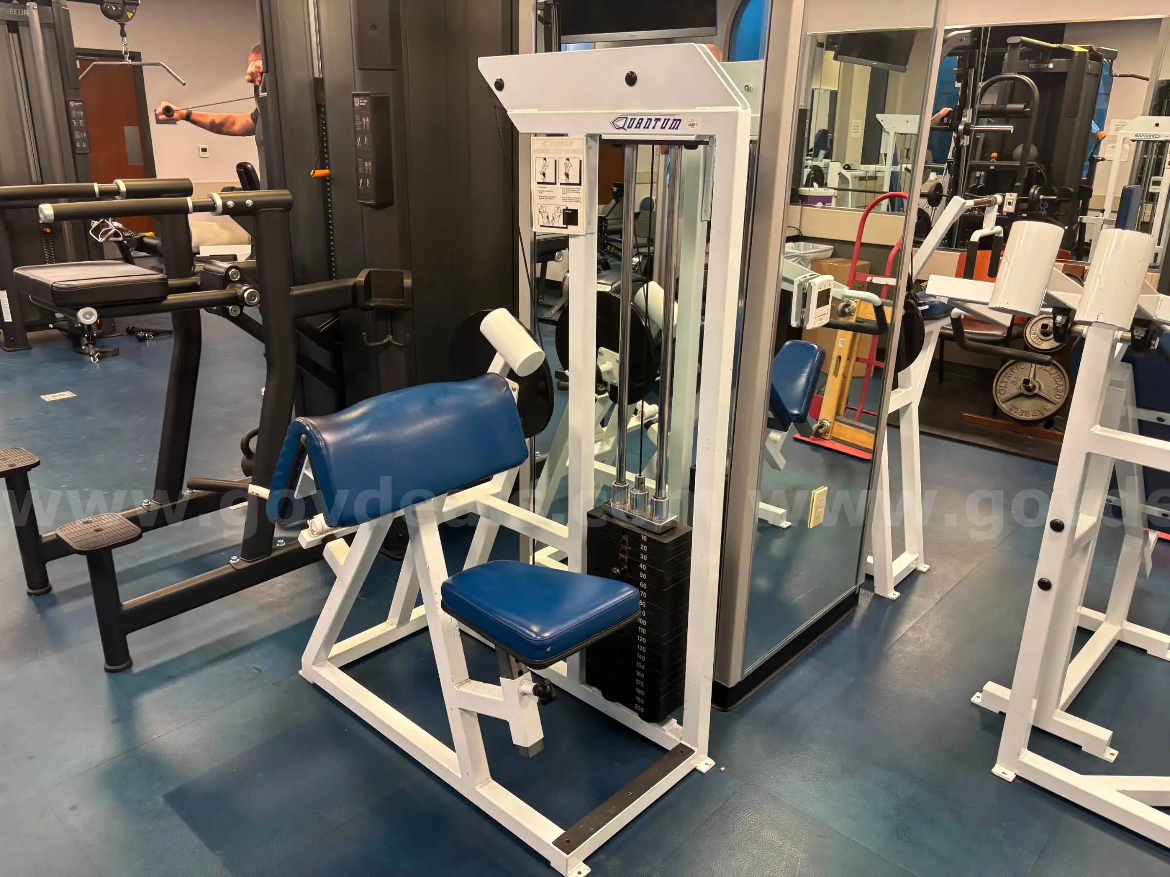 Quantum Fitness Bicep Curl