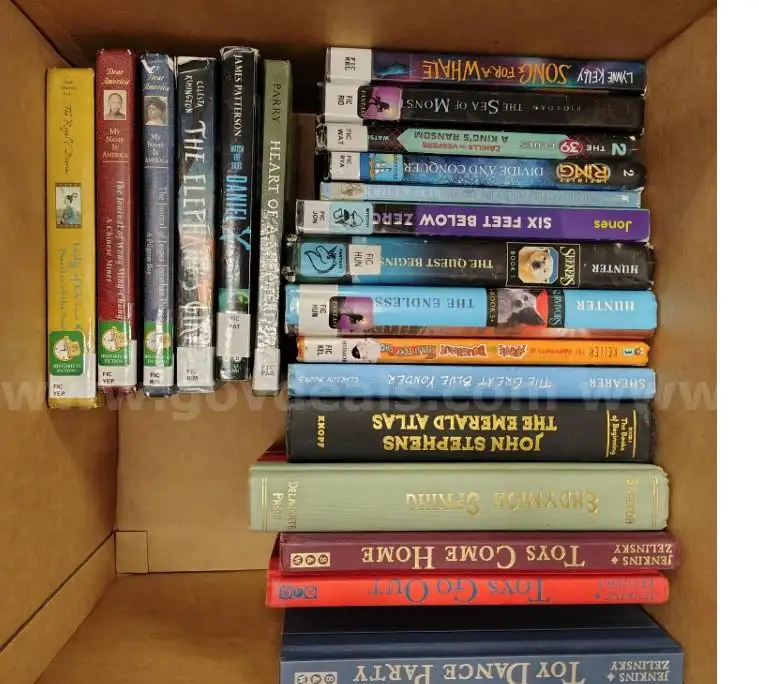 1 lot of library books