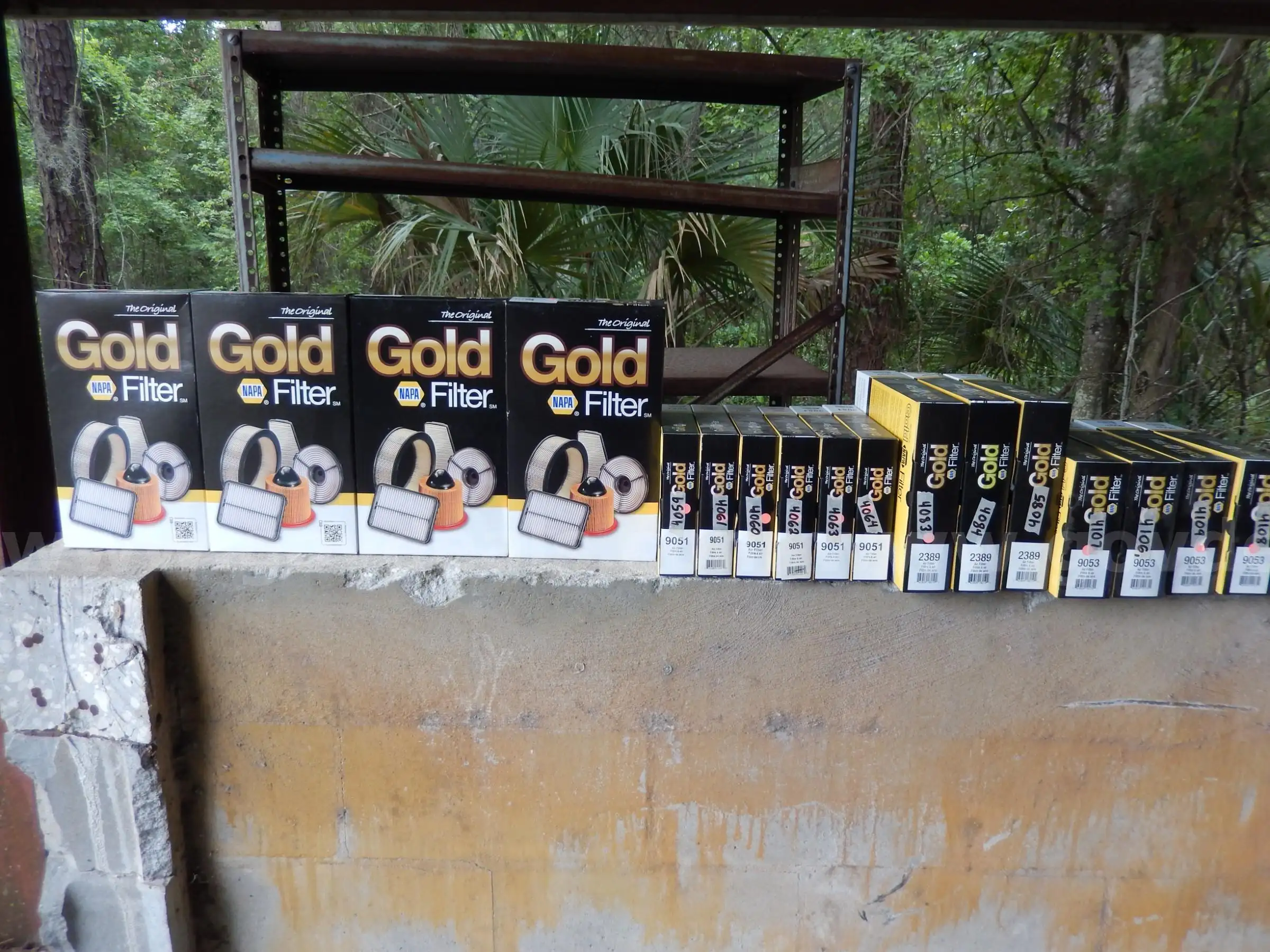 NAPA GOLD 9053 2389 9051 9057