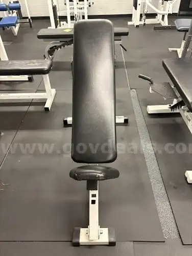 Lot 6 Commercial Adjustable Incline Bench with Spotter Platforms
